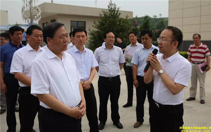 省委常委、省委統(tǒng)戰(zhàn)部部長、副省長姜鋒蒞臨森弗產(chǎn)業(yè)園調(diào)研大健康產(chǎn)業(yè)發(fā)展情況