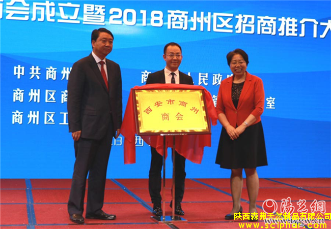 森弗集團董事長金新康當(dāng)選首屆西安市商州商會會長