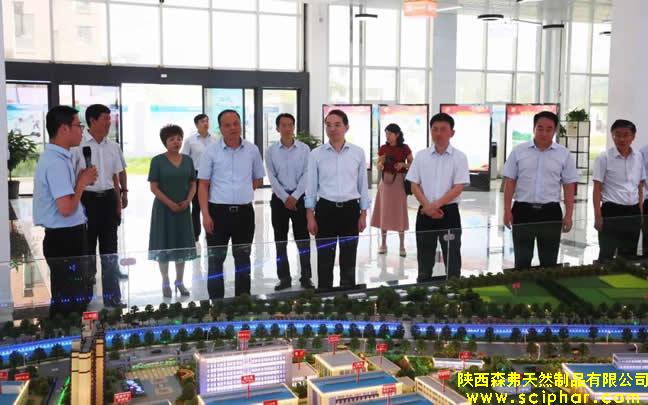 陜西省委常委、省紀(jì)委書(shū)記王興寧蒞臨森弗健康養(yǎng)生產(chǎn)業(yè)園調(diào)研企業(yè)發(fā)展情況