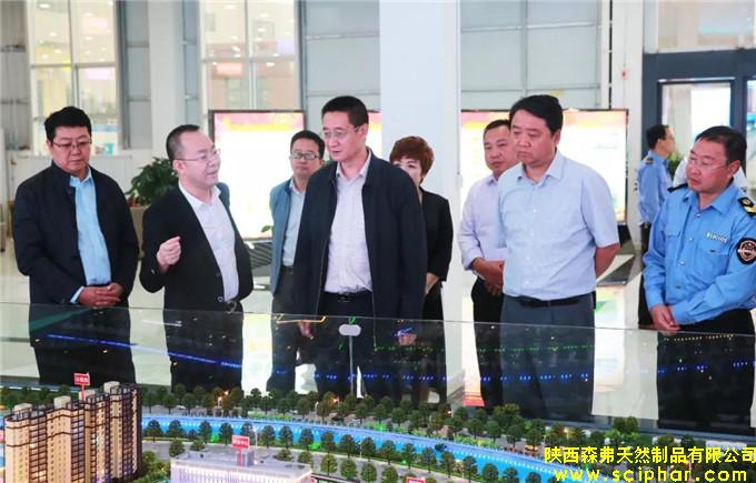 陜西省食品藥品監(jiān)督管理局黨組書記、局長張小