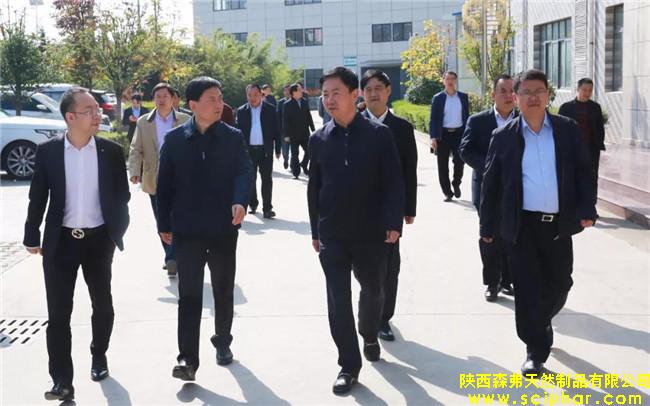 陜西省質(zhì)監(jiān)局局長(zhǎng)張智華帶領(lǐng)調(diào)研組蒞臨森弗健康養(yǎng)生產(chǎn)業(yè)園調(diào)研