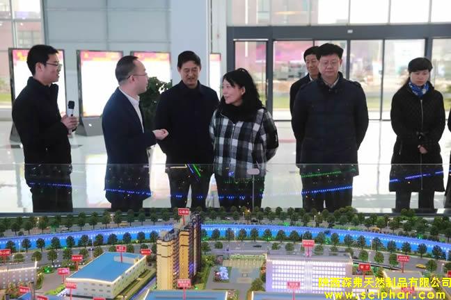 國務(wù)院扶貧辦領(lǐng)導(dǎo)一行蒞臨陜西森弗調(diào)研精準(zhǔn)扶貧工作情況!