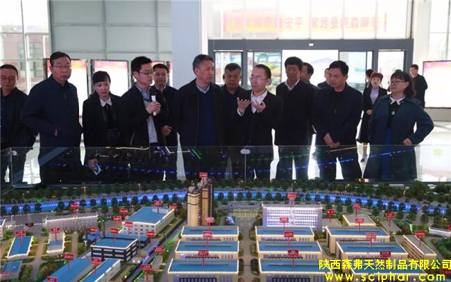 陜西省商務廳紀檢組組長胡仁喜一行調(diào)研森弗公司內(nèi)外貿(mào)工作情況